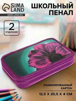 Пенал школьный, 2 секции, 12.5×20.5×4 см Пенал школьный, 2 секции, 12.5×20.5×4 см