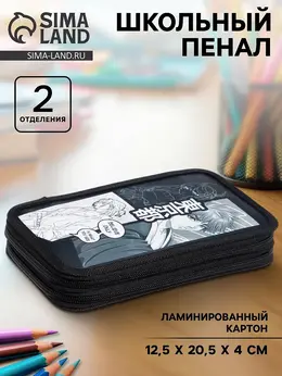 Пенал школьный, 2 секции, 12.5×20.5×4 см