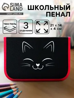 Пенал школьный, 3 секции, 14×21×4 см