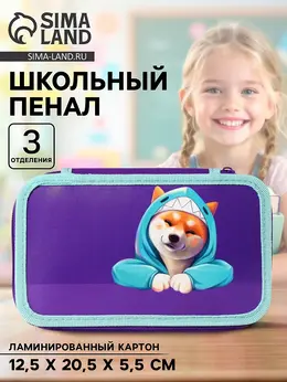 Пенал школьный, 3 секции, 12.5×20.5×5.5 см Пенал школьный, 3 секции, 12.5×20.5×5.5 см
