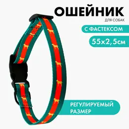 Ошейник Ошейник