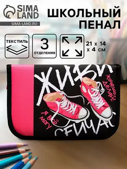 Пенал школьный, 3 секции, 14×21×4 см