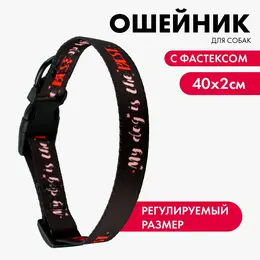 Ошейник my dog is the best, застежка - фастекс, 2 см 25-40 см Ошейник my dog is the best, застежка - фастекс, 2 см 25-40 см