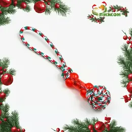Игрушка канатная с косточкой, до 150 г, до 40 см, красно-бело-зеленая
