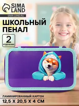 Пенал школьный, 2 секции, 12.5×20.5×4 см Пенал школьный, 2 секции, 12.5×20.5×4 см
