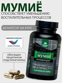 Концентрат МУМИЕ Премиум с лецитином+витамин С для желудка, суставов, хрящей, иммунитета, 60 капсул
