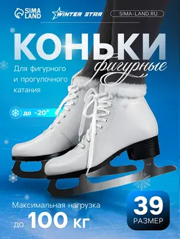 Коньки Коньки