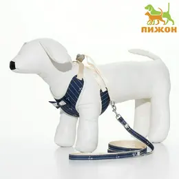 Шлейка с поводком Шлейка с поводком