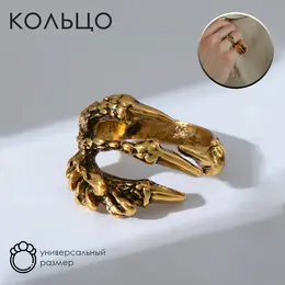 Кольцо Кольцо