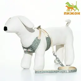 Шлейка с поводком Шлейка с поводком