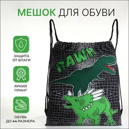 Мешок для обуви на шнурке, с принтом, размер 45×1×34 см, черный