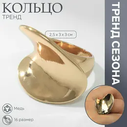 Кольцо металл
