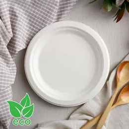 Тарелка одноразовая eco, d=17.2 см, круглая, из сахарного тростника, белая Тарелка одноразовая eco, d=17.2 см, круглая, из сахарного тростника, белая