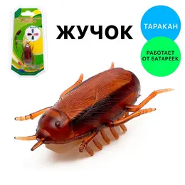 Жучок
