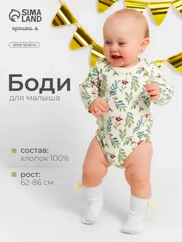 Боди