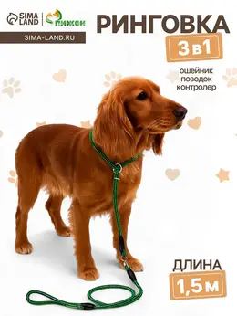 Ринговка для собак, 150×0.6 см, с вертлюгом, черная, зеленая Ринговка для собак, 150×0.6 см, с вертлюгом, черная, зеленая