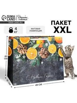 Пакет подарочный новогодний ламинированный