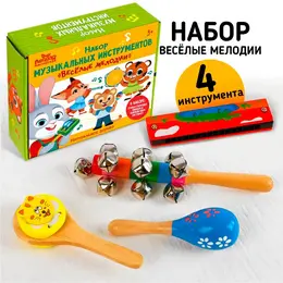 Подарочный набор музыкальных инструментов