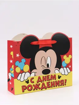 Пакет подарочный