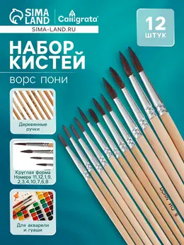 Набор кистей для рисования, пони, 12 штук: № 1, 2, 3, 4, 5, 6, 7, 8, 9, 10, 11, 12, круглые, деревянная ручка, международный размер Набор кистей для рисования, пони, 12 штук: № 1, 2, 3, 4, 5, 6, 7, 8, 9, 10, 11, 12, круглые, деревянная ручка, международный размер