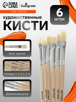 Набор кистей для рисования, щетина, 6 штук: № 1, 2, 3, 4, 5, 6, плоские, деревянная ручка, международный размер Набор кистей для рисования, щетина, 6 штук: № 1, 2, 3, 4, 5, 6, плоские, деревянная ручка, международный размер