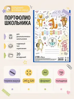 Папка-портфолио пластиковая а4,