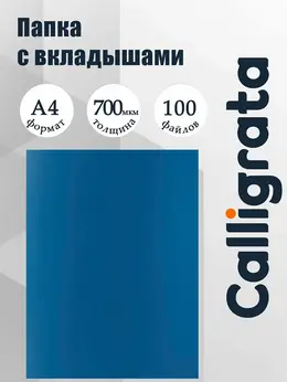 Папка с 100 вкладышами а4, корешок 40 мм, 700 мкм, , текстура