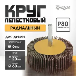 Круг лепестковый радиальный , 60×20×6 мм, р80