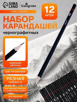 Набор карандашей чернографитных , 12 штук, разная твердость, шестигранные, деревянные