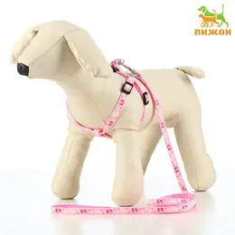 Шлейка с поводком Шлейка с поводком