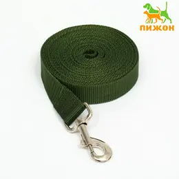 Поводок, 5 м × 3 см, зеленый