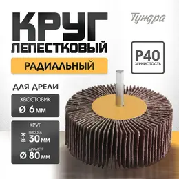 Круг лепестковый радиальный , 80×30×6 мм, р40 Круг лепестковый радиальный , 80×30×6 мм, р40