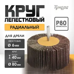 Круг лепестковый радиальный , 80×40×6 мм, р80 Круг лепестковый радиальный , 80×40×6 мм, р80