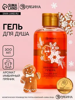 Гель для душа, 300 мл, аромат имбирного пряника,