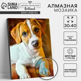 Алмазная мозаика с частичным заполнением на подрамнике