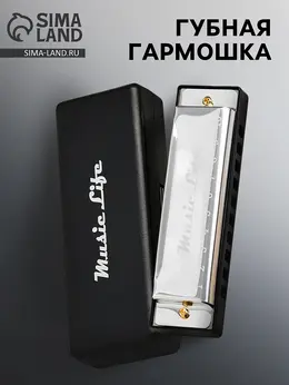 Губная гармошка , диатоническая, c-major, с футляром, серебристая