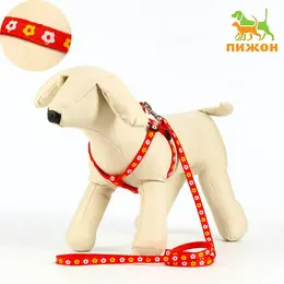 Шлейка с поводком Шлейка с поводком