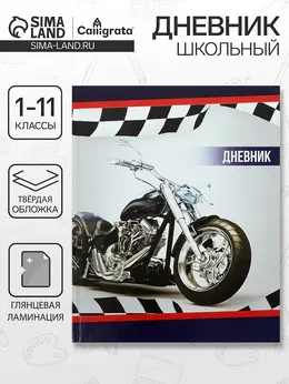 Дневник школьный для 1-11 классов,