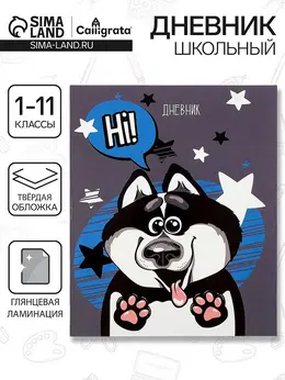 Дневник школьный для 1-11 классов,