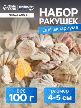 Набор ракушек, 4 - 5 см, 100 г