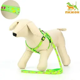 Шлейка с поводком