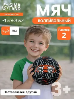 Волейбольный мяч