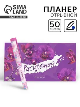 Подарочный набор, планер, ручка пластик