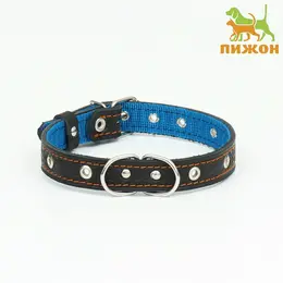 Ошейник кожаный усиленный капроном с полукольцом, 55×2.5 см, ош 27-53 см, черный