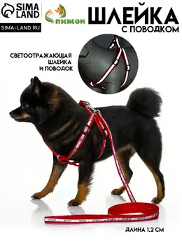 Шлейка с поводком