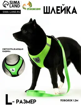 Шлейка с поводком, размер l, ош 33, ог 36-48, мягкая, со светоотражающей нашивкой, зеленая
