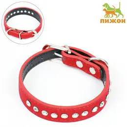 Ошейник Ошейник