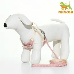 Шлейка с поводком