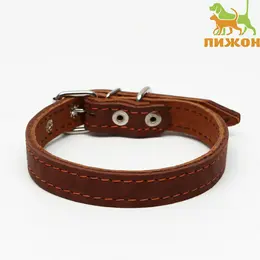 Ошейник кожаный двухслойный, 46 х 2 см, ош 25-35 см, коричневый