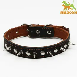 Ошейник кожаный двухслойный шипованный, 63×3 см, ош 40-55 см, черный Ошейник кожаный двухслойный шипованный, 63×3 см, ош 40-55 см, черный